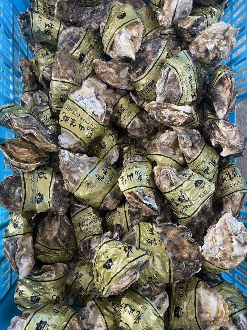 好品山东.礼飨中国.新春佳节送蚝礼乳山牡蛎更满意