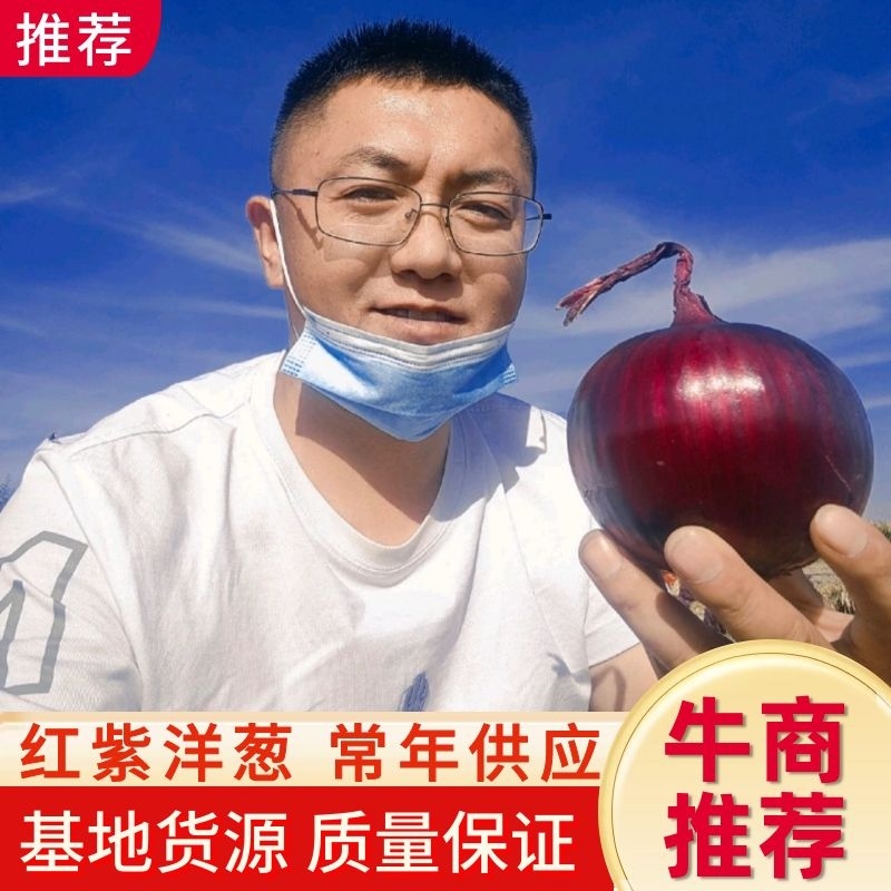 甘肃红皮洋葱，紫皮洋葱，原产地发货，电商市场大型批发