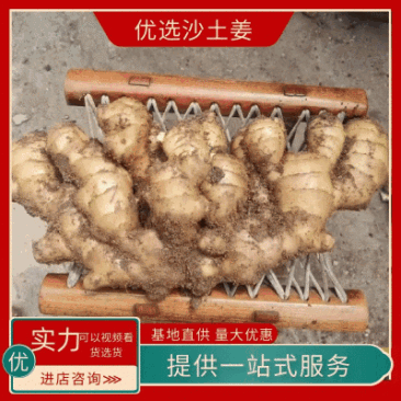 荐-【诚信经营-物流全国】（沙土姜/水洗姜/风干姜）