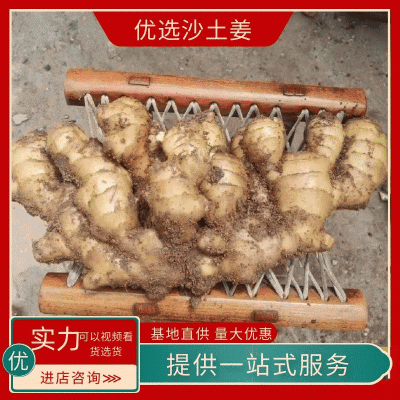 荐-【诚信经营-物流全国】（沙土姜/水洗姜/风干姜）