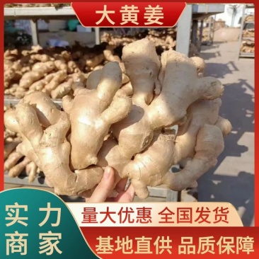 荐-【诚信经营-】对接市场电商(沙土姜/水洗姜/风干姜)