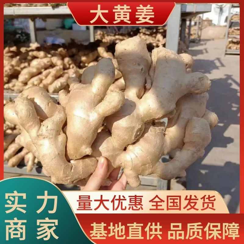 荐-【诚信经营-】对接市场电商（沙土姜/水洗姜/风干姜）