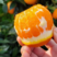 宜昌九月红脐橙产地一手货源现摘现卖，看园定货