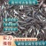 【推荐2023生鱼苗/黑鱼苗水花抗病力强超低价全国包邮