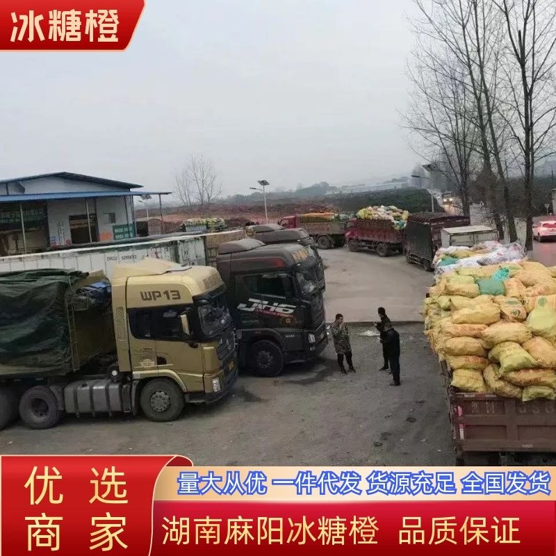 湖南麻阳冰糖橙（一件代发社团正级小果）品质保证