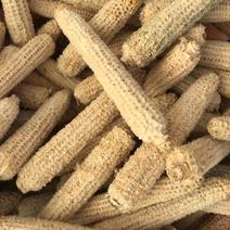 石林源刚农业现货供应玉米芯食用菌种植香包填充物垫料饲料
