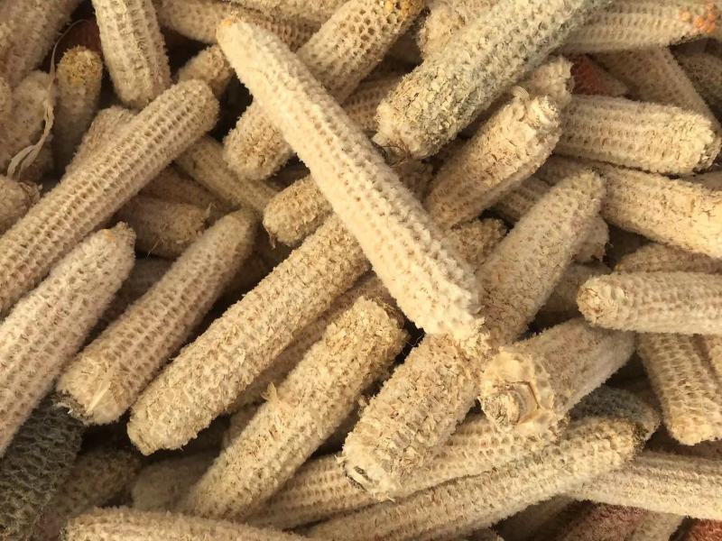 石林源刚农业现货供应玉米芯食用菌种植香包填充物垫料饲料