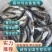 【推荐】鳊魚白鲢鱼苗花鲢鳙鱼边鱼苗各种淡水鱼苗全国包邮