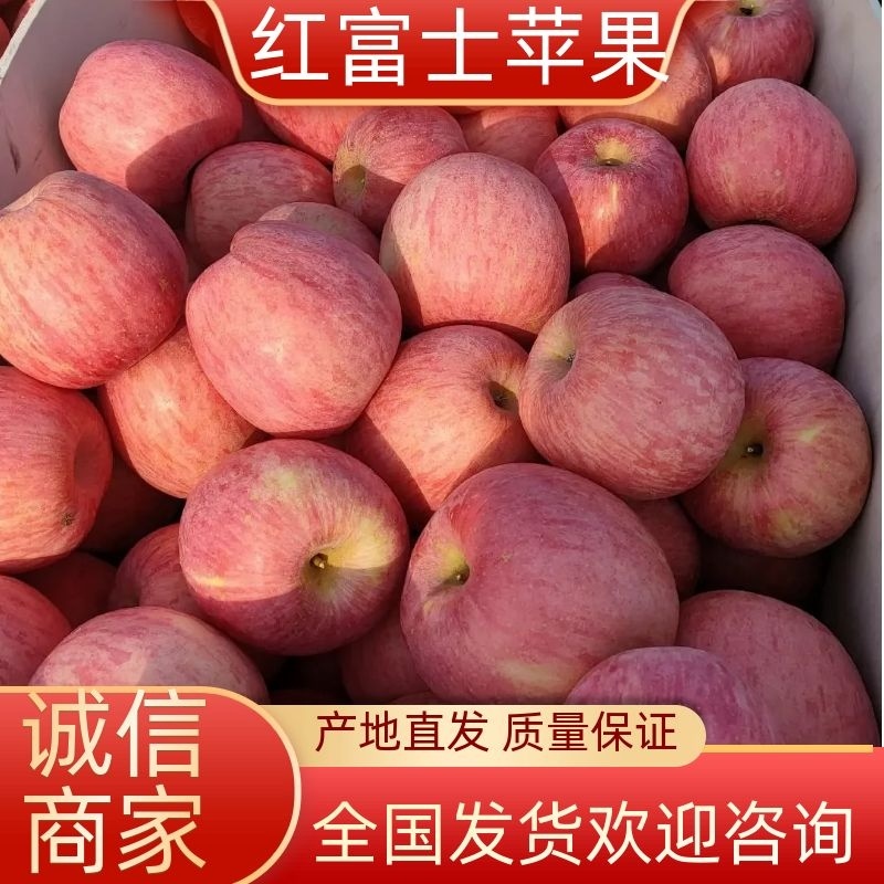 山东红富士苹果口感好甜度高量大货源充足。