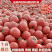山东费县西红柿原产地，市场商超供应，代购代发全国，电商