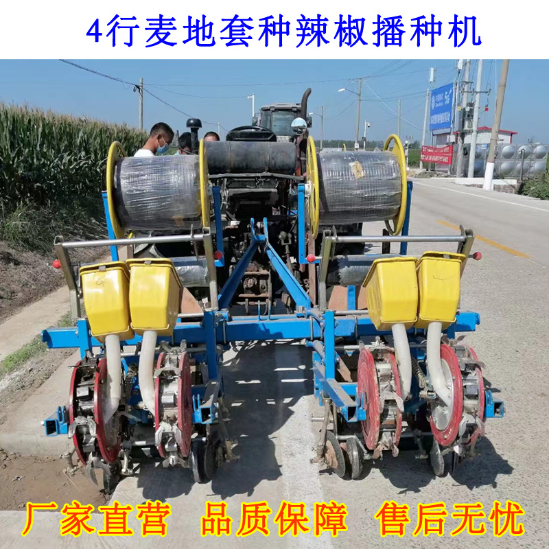 麦地套种辣椒播种机辣椒直播机