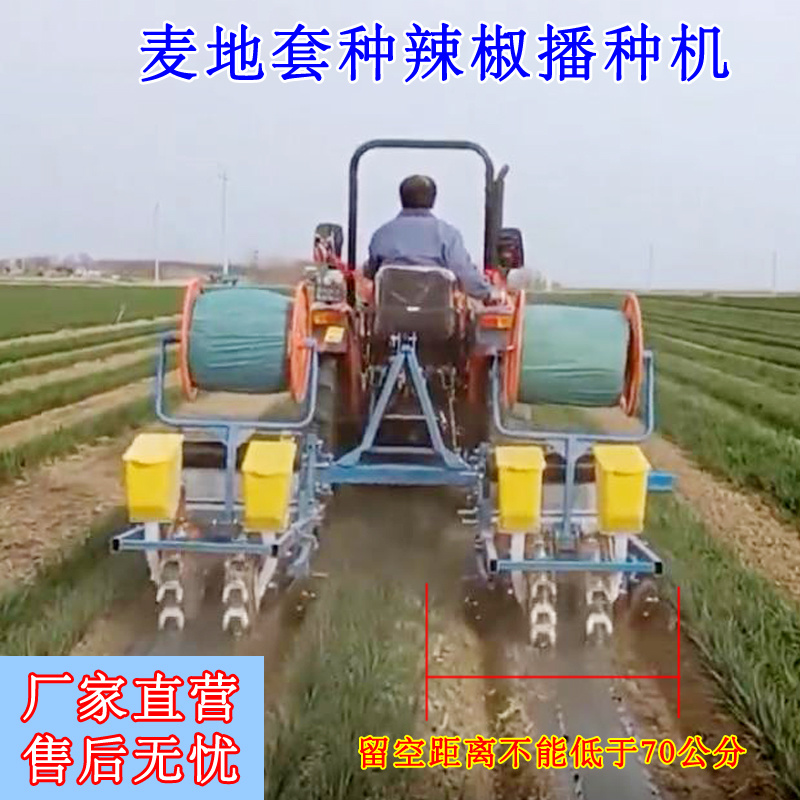 麦地套种辣椒播种机辣椒直播机