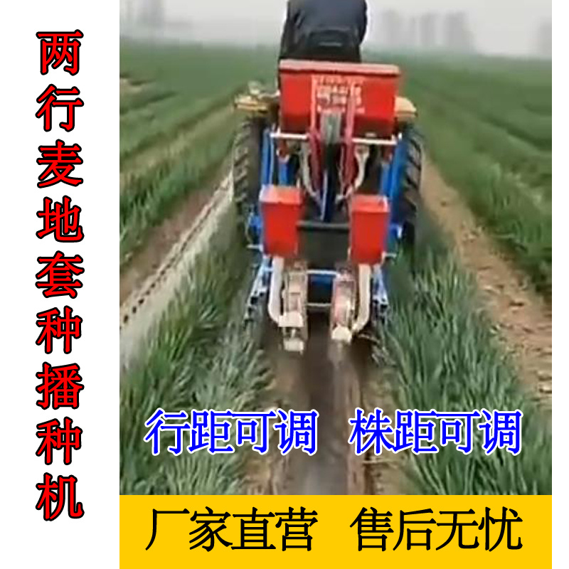麦地套种辣椒播种机辣椒直播机