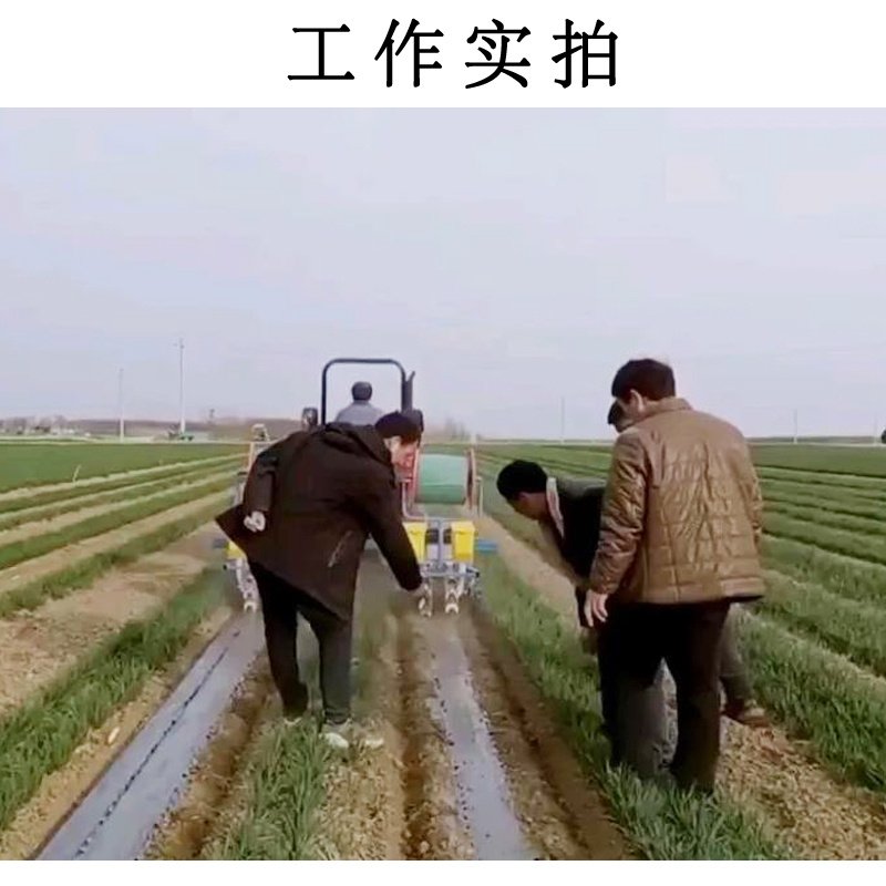 麦地套种辣椒播种机辣椒直播机