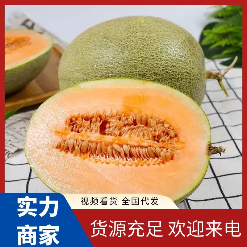 【直发】海南哈密瓜产地直供甜度高全国代发欢迎来电咨询