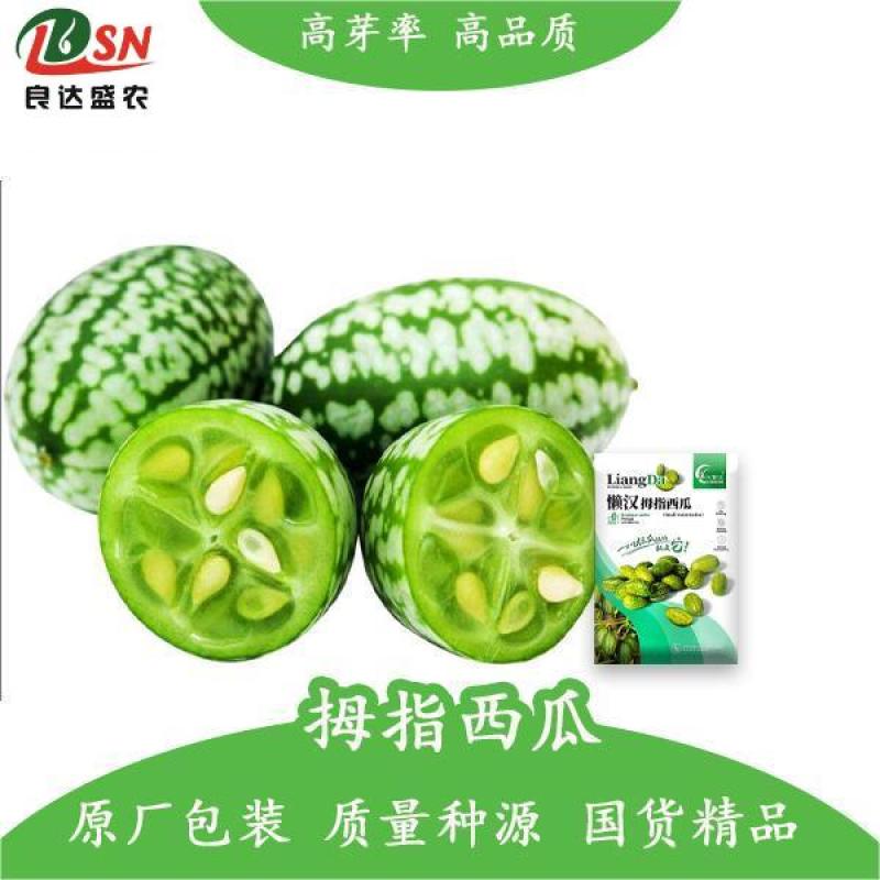拇指西瓜种子懒汉结瓜多耐种植易管理产量高品质好