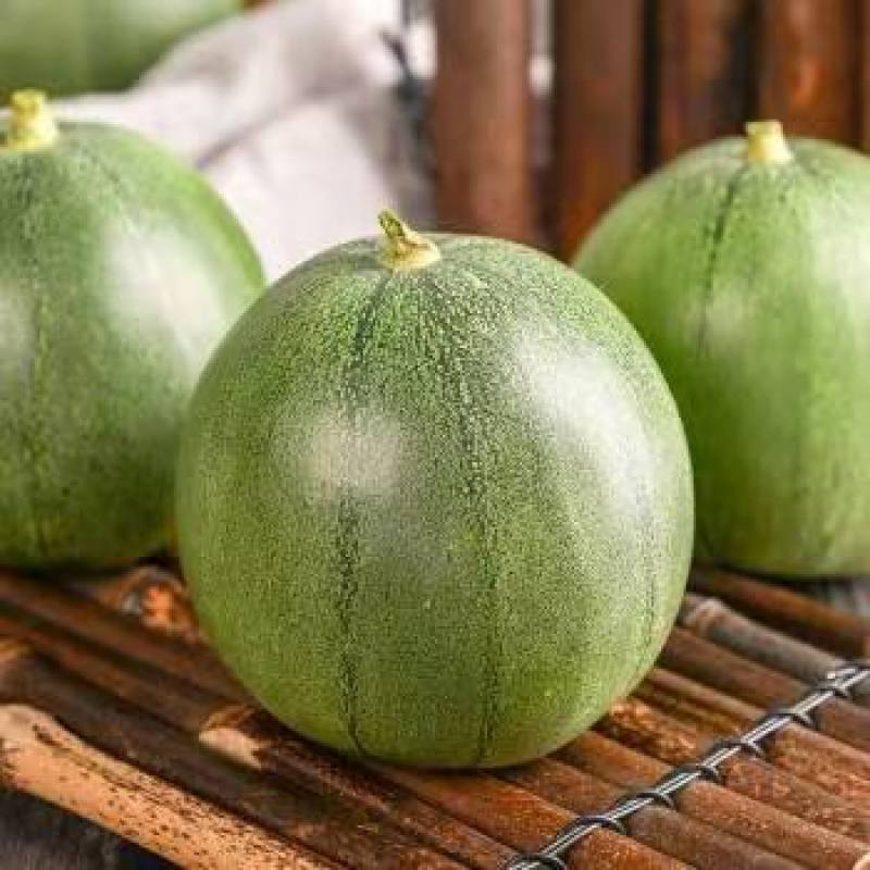 欣宝绿宝石甜瓜种子薄皮绿皮绿肉口感甜脆清香可口