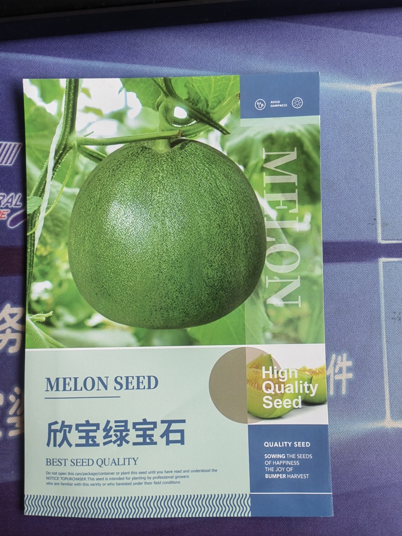 欣宝绿宝石甜瓜种子薄皮绿皮绿肉口感甜脆清香可口