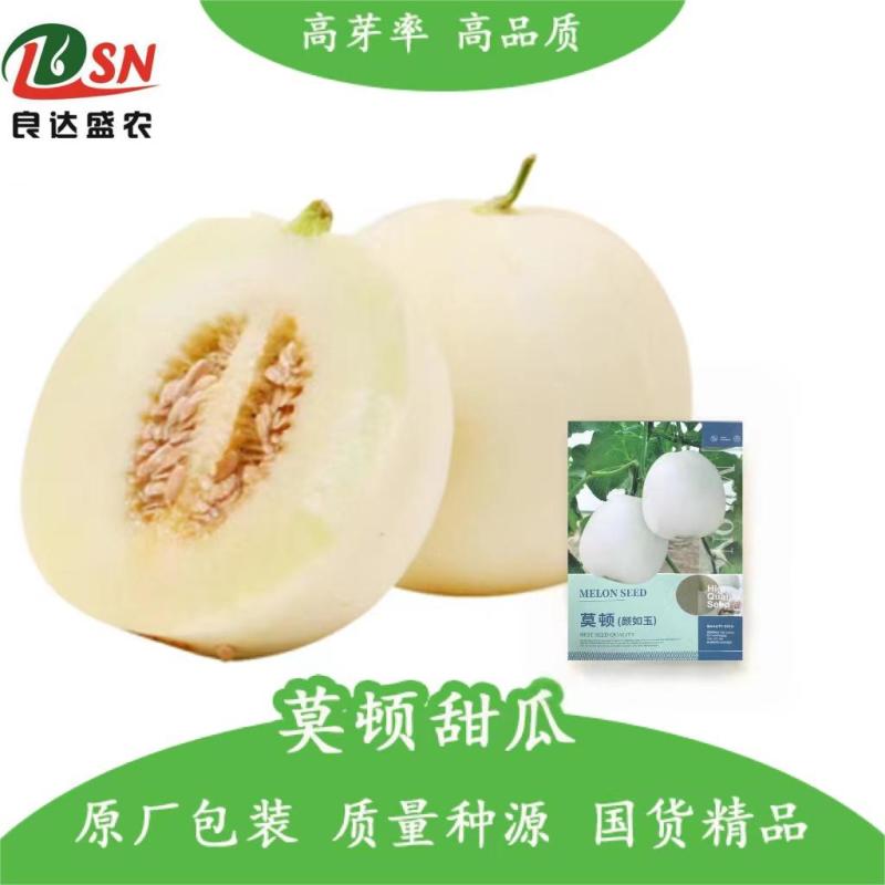 莫顿颜如玉白甜瓜种子早熟白瓤白籽质脆爽口味香甜