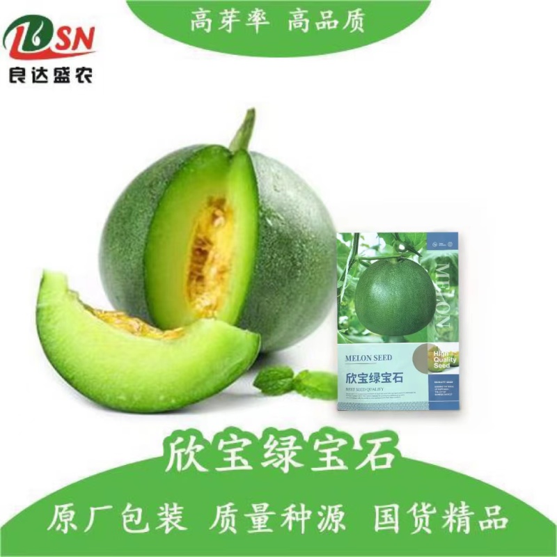 欣宝绿宝石甜瓜种子薄皮绿皮绿肉口感甜脆清香可口