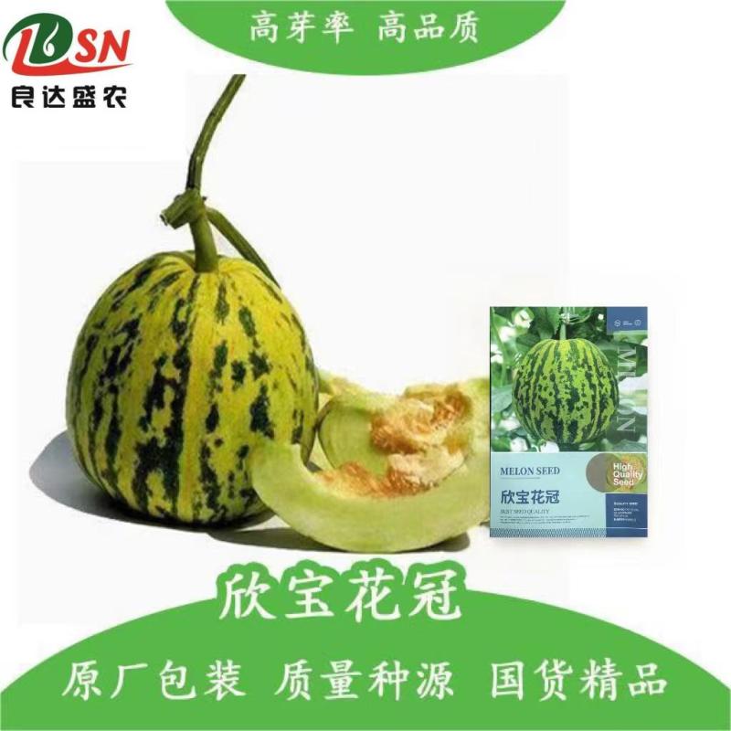 欣宝花冠甜瓜种子早熟高糖肉质多汁香甜酥脆耐贮运