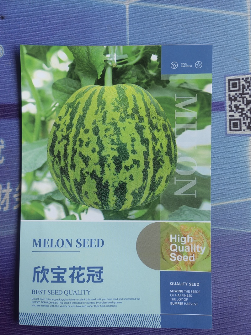 欣宝花冠甜瓜种子早熟高糖肉质多汁香甜酥脆耐贮运