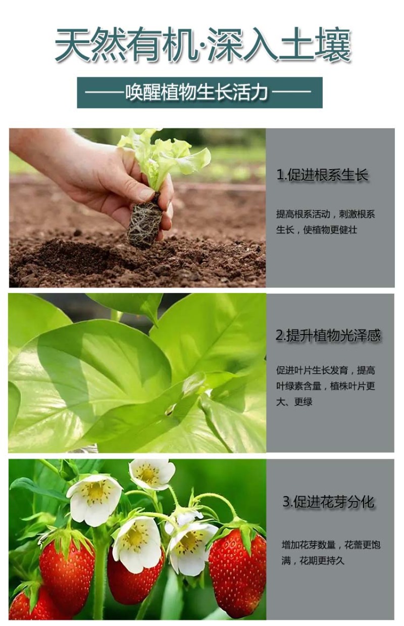 西藏发酵羊粪厂家山南高温发酵羊粪拉萨纯腐熟羊粪