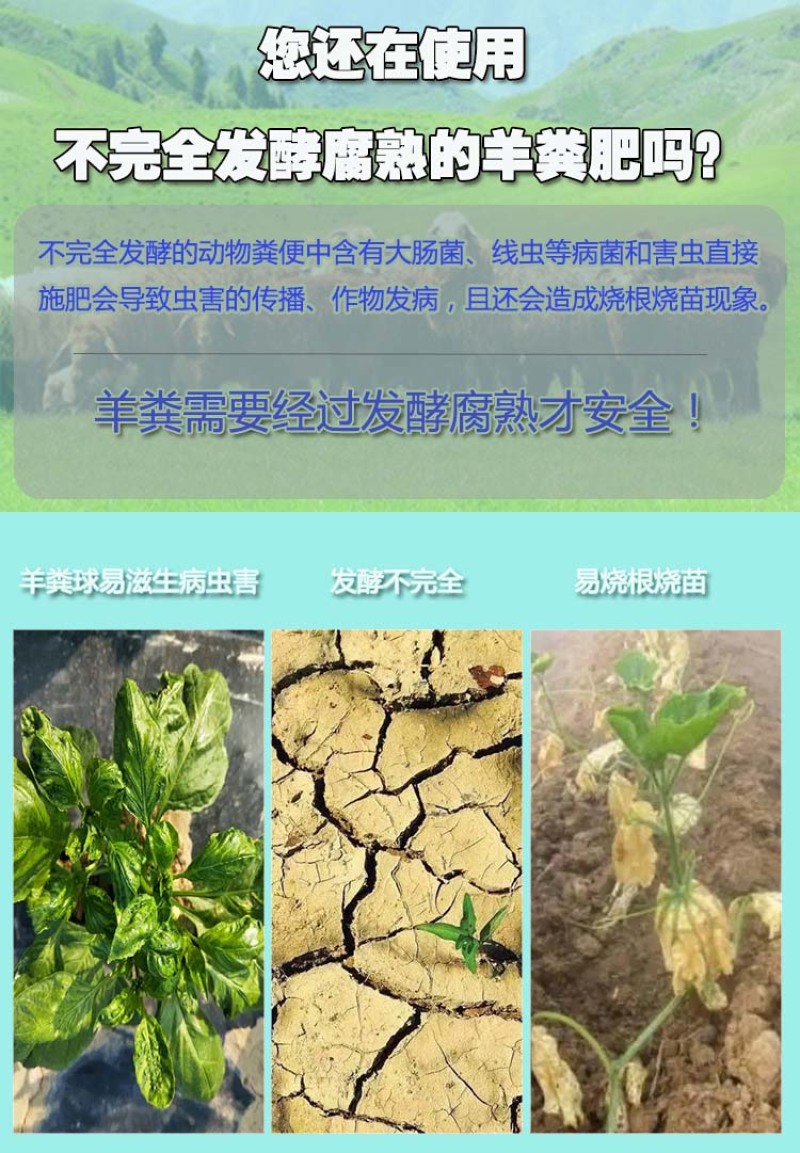 广西羊粪有机肥厂家南宁发酵羊粪出售柳州高温腐熟羊粪