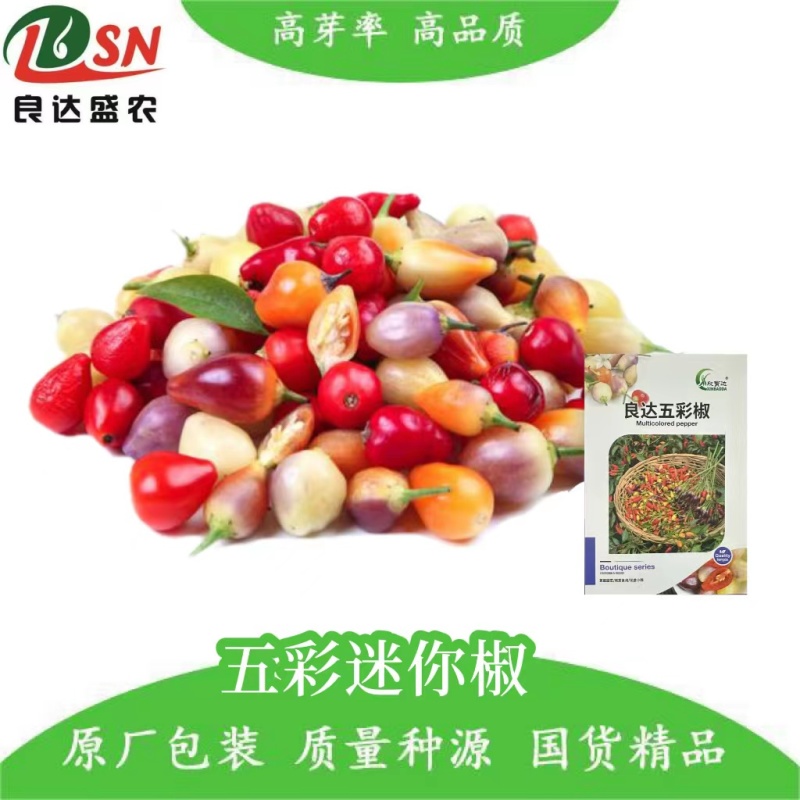 良达五彩辣椒种子易种植耐成活基地供应辣味浓