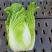 【给钱就卖】黄心白菜矮个白菜矮脚白菜疫情助农一手货源
