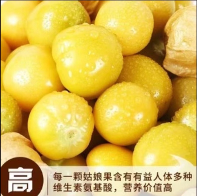 奶油黄姑娘种子清香味美甜脆可口品质好糖度高优质良种