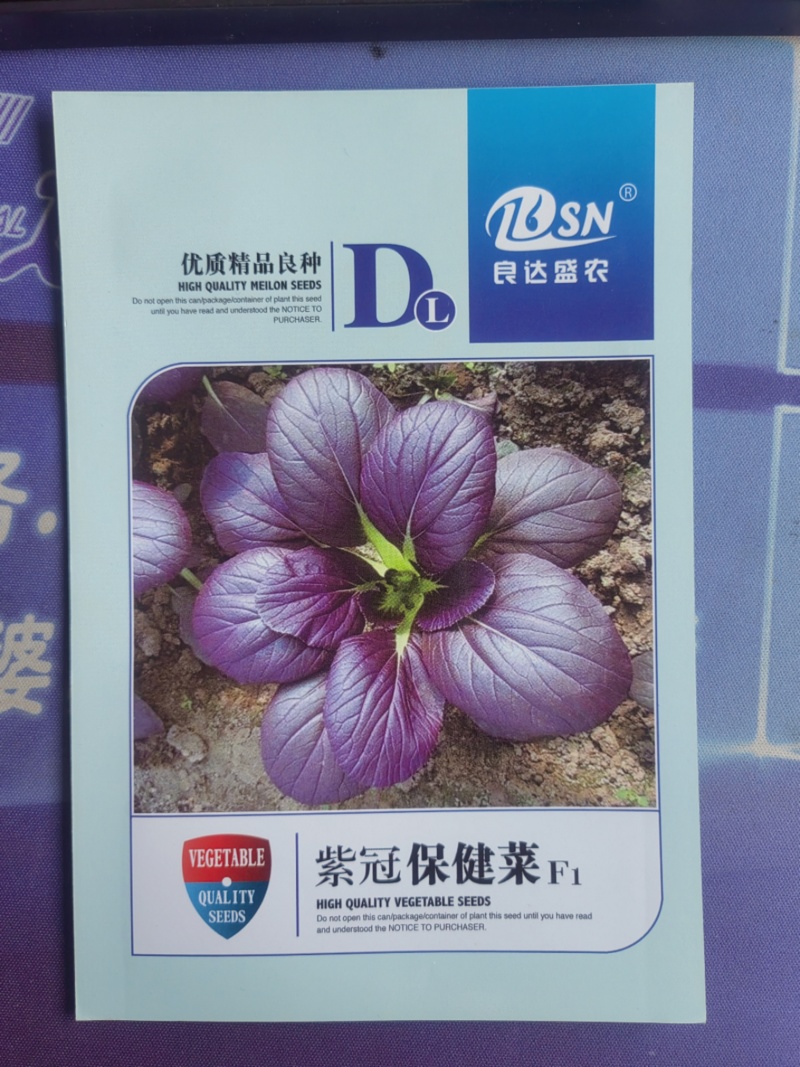 紫冠保健菜种子叶柄翠绿色全年均可种植生长速度快
