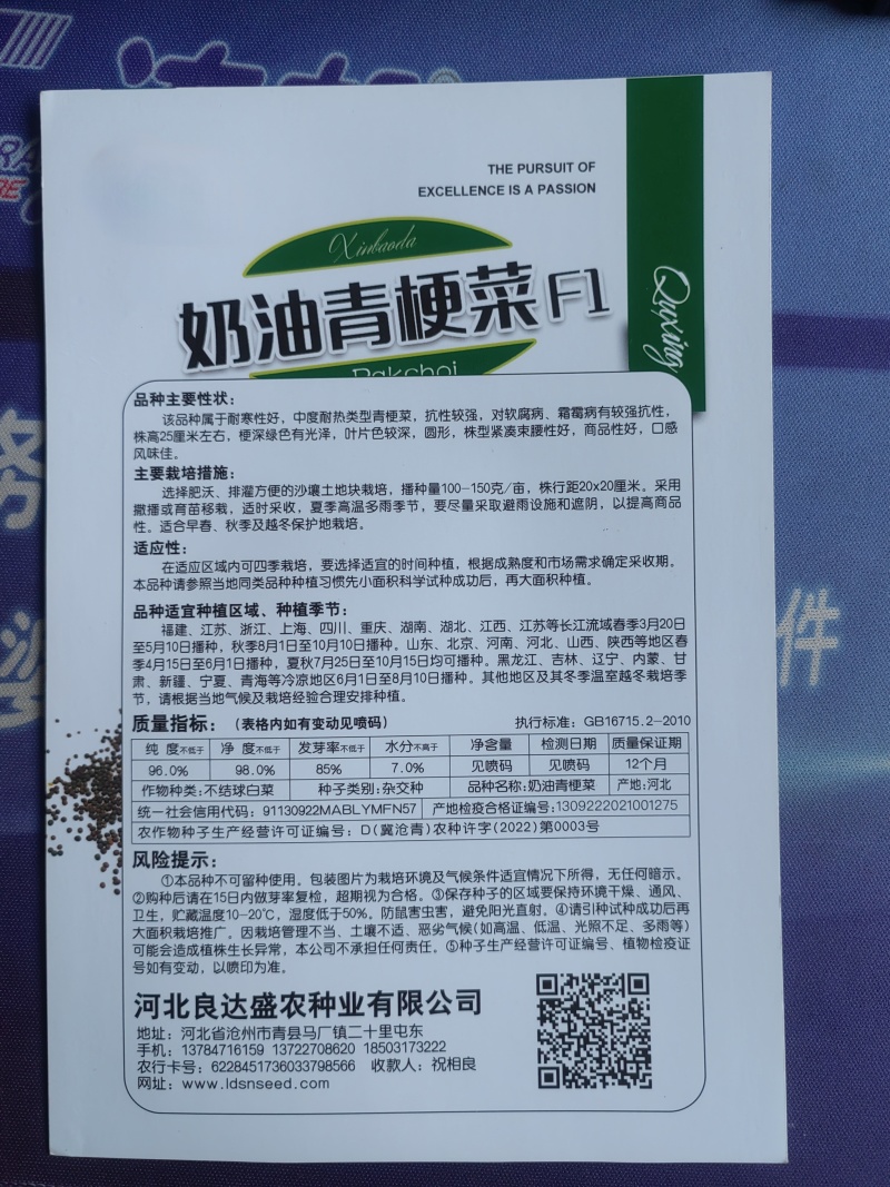 奶油青梗菜种子耐寒性好口感好商品性好抗性强