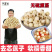正宗建宁中药材莲子磨皮去芯特级白莲干货