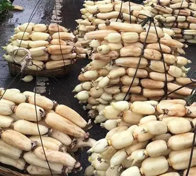 【粉藕】新鲜现挖粉藕煨汤粉藕粉糯香甜全国批发