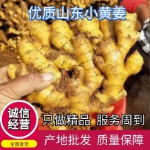 【小黄姜】山东优质小黄姜产地，颜色蜡黄，口味辣浓