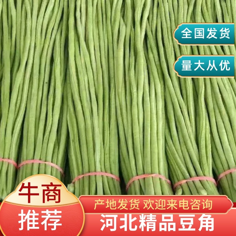 精品长豆角河北豆角，产地直发，量大从优，全国发货