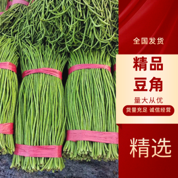 精品长豆角河北豆角，产地直发，量大从优，全国发货