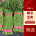 精品长豆角河北豆角，产地直发，量大从优，全国发货