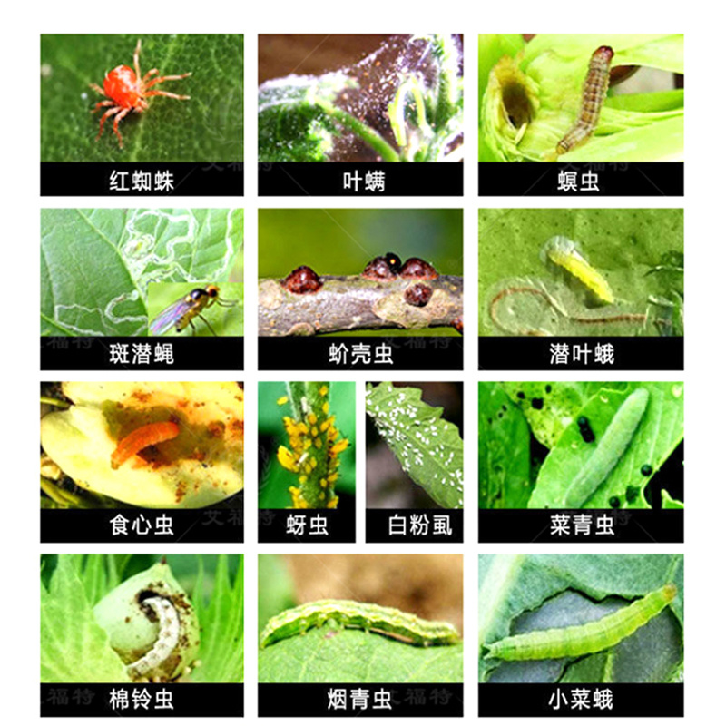 阿维菌素1.8%红白蜘蛛菜青虫薊马蚜虫叶螨杀虫广谱