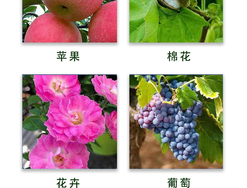 阿维菌素1.8%红白蜘蛛菜青虫薊马蚜虫叶螨杀虫广谱