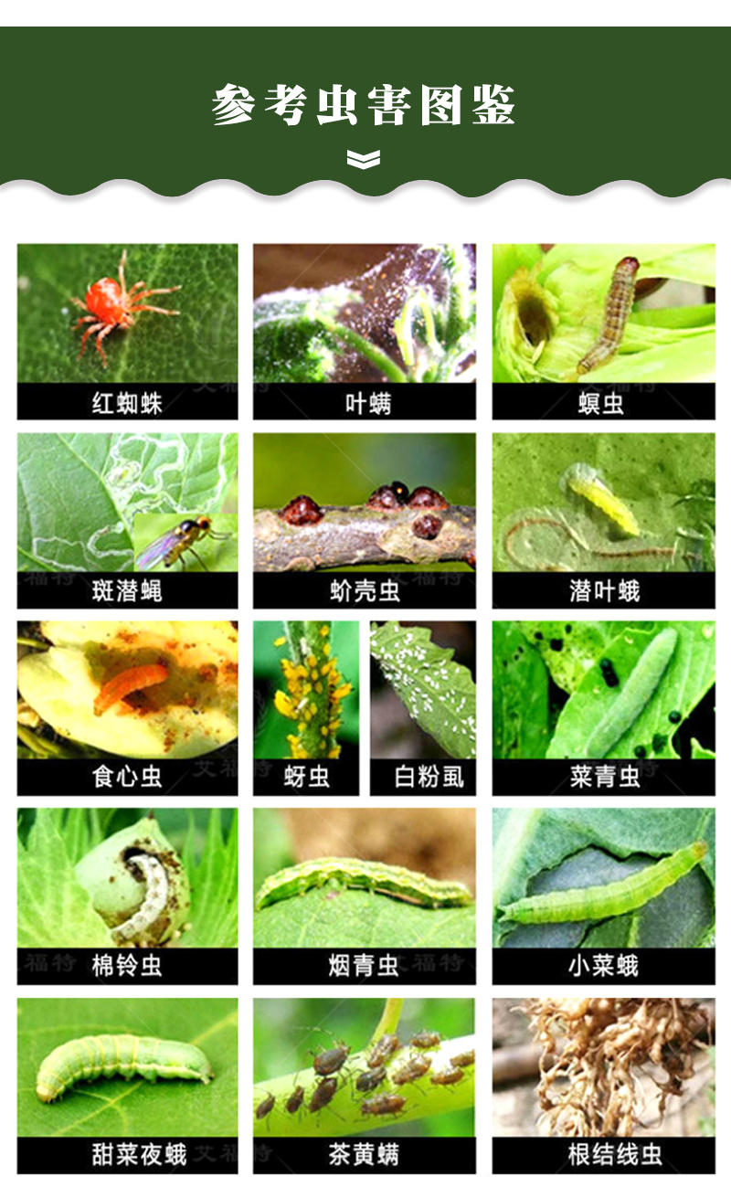 阿维菌素1.8%红白蜘蛛菜青虫薊马蚜虫叶螨杀虫广谱