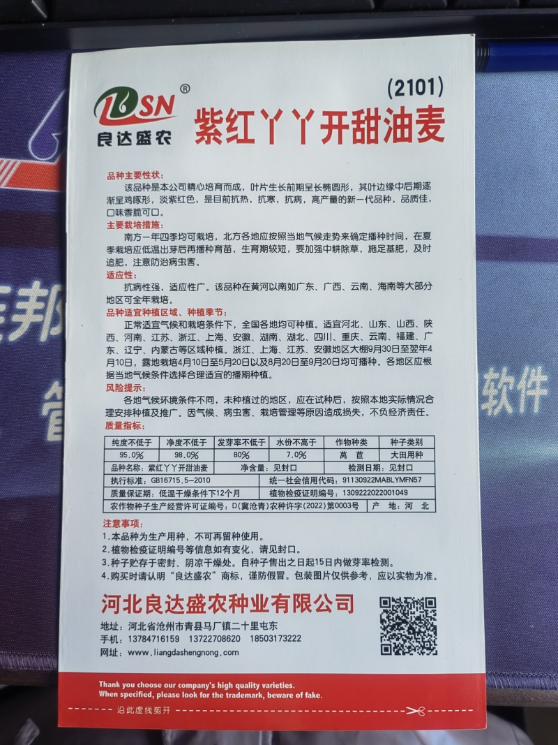紫红丫丫开甜油麦菜种子抗热抗寒高产品质好口味香脆可口