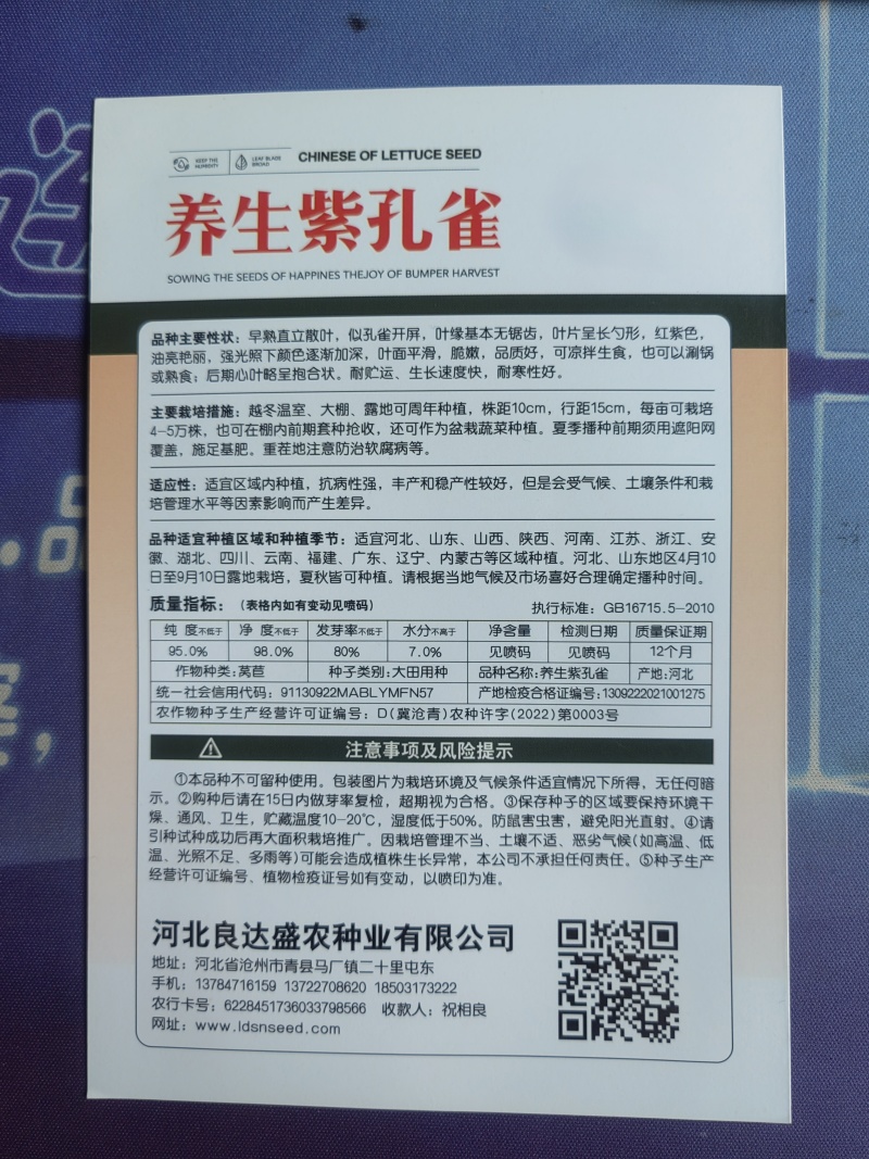 养生紫孔雀菜种子质嫩味美营养丰富商品性好耐贮运耐寒性好
