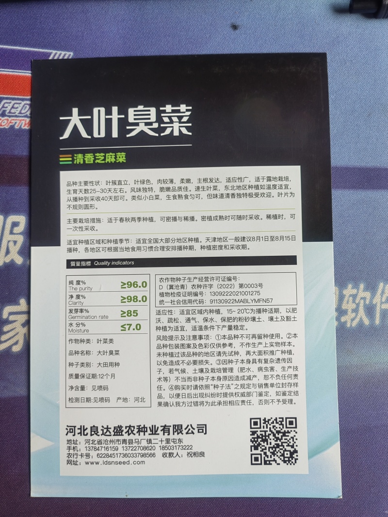 大叶臭菜芝麻菜种子柔嫩主根发达适应性广脆嫩品质佳速生