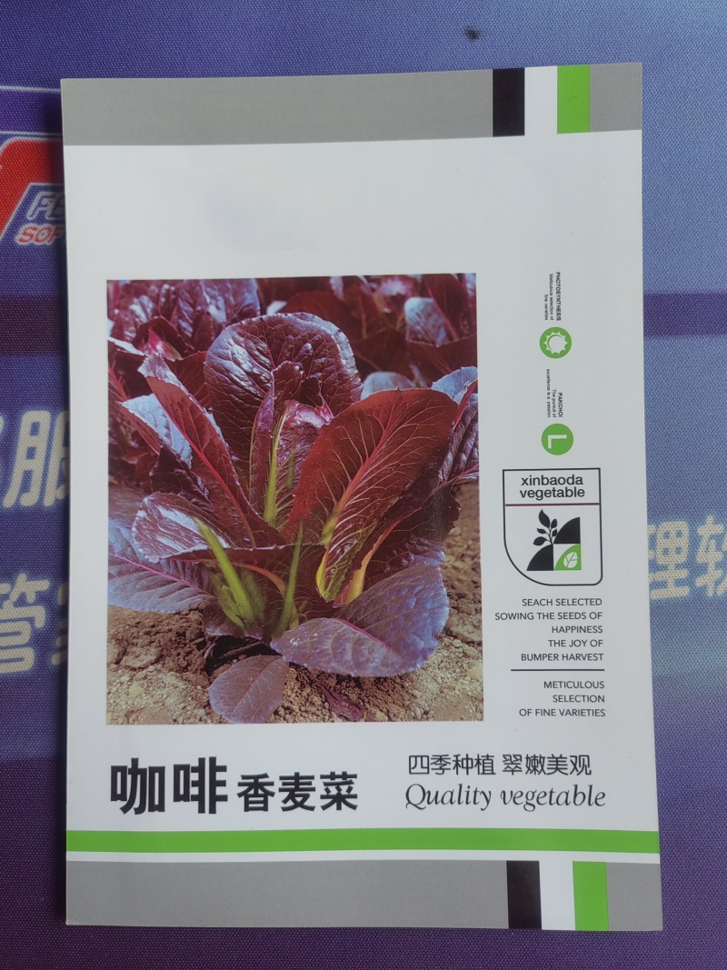 咖啡香麦菜种子四季种植脆嫩美观生长速度快纤维少质地脆嫩