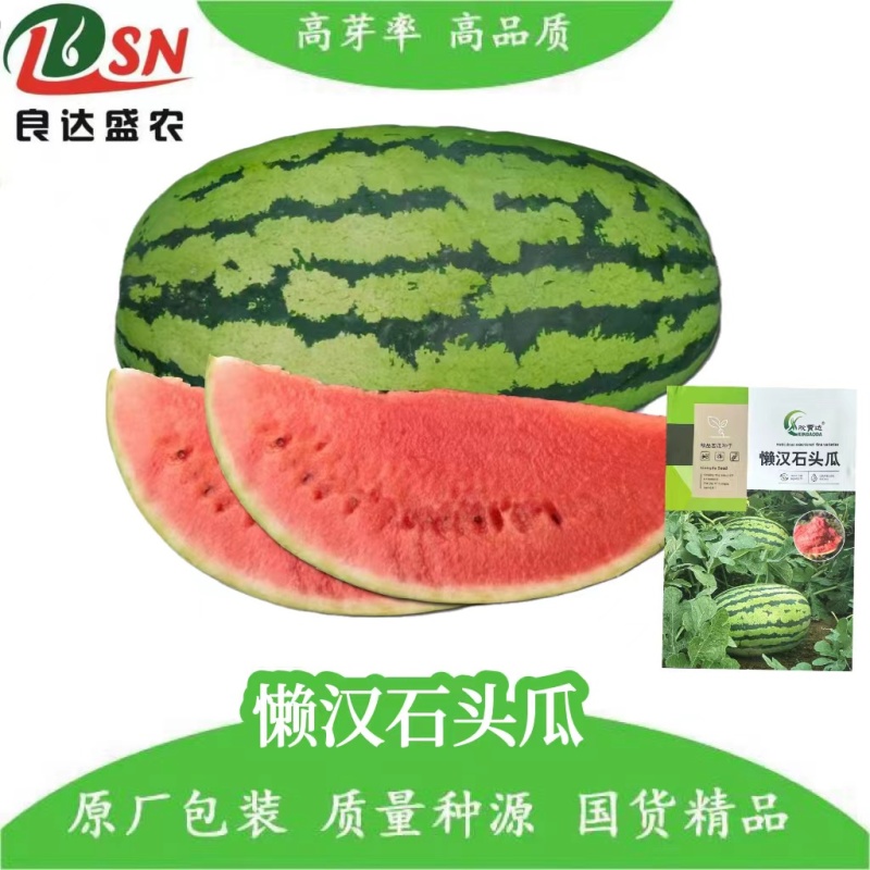 懒汉石头瓜西瓜种子中熟大果型耐旱耐贫瘠耐贮运适应性广