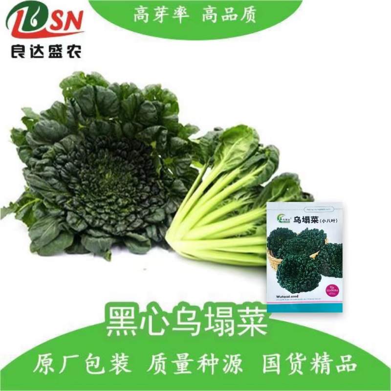 乌塌菜种子叶大肥厚粗纤维少耐寒性强鲜嫩可口