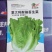 意大利耐抽苔生菜种子口感细腻全年种植抗病性强风味独特
