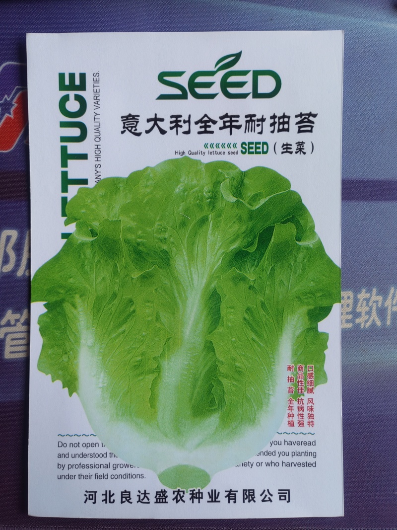 意大利全年耐抽苔生菜种子口感细腻抗病性强全年种植
